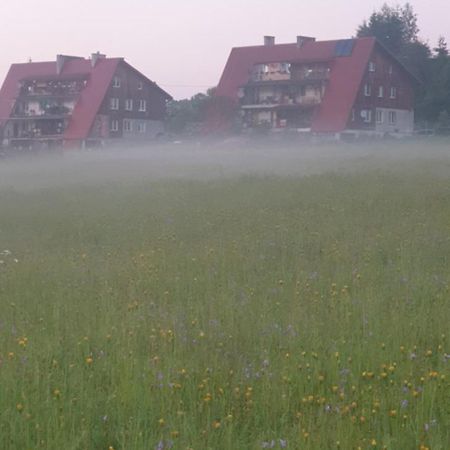Apartament Wrzos Bieszczady Czarna  Esterno foto
