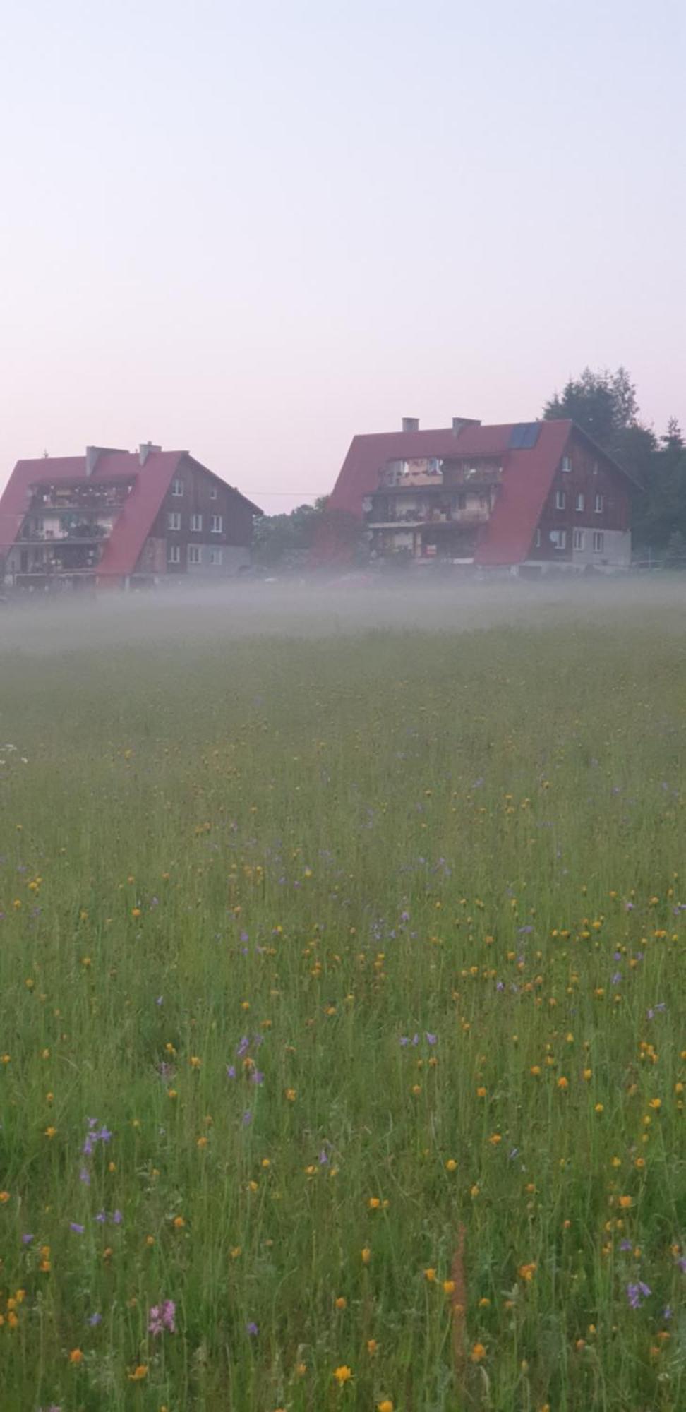Apartament Wrzos Bieszczady Czarna  Esterno foto